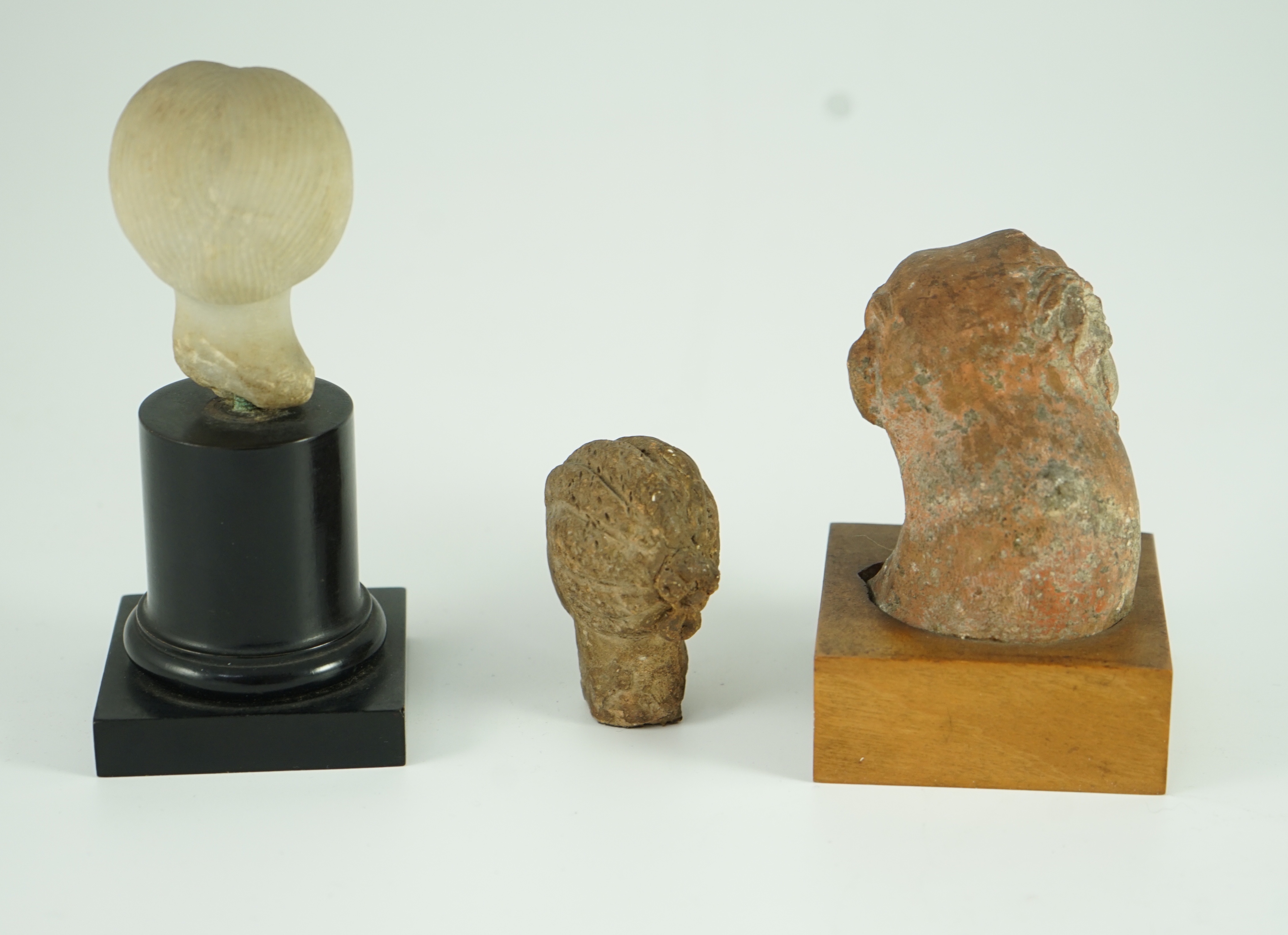 A group of antiquities comprising two commemorative scarabs, an Egyptian style gypsum head, and two antique terracotta heads